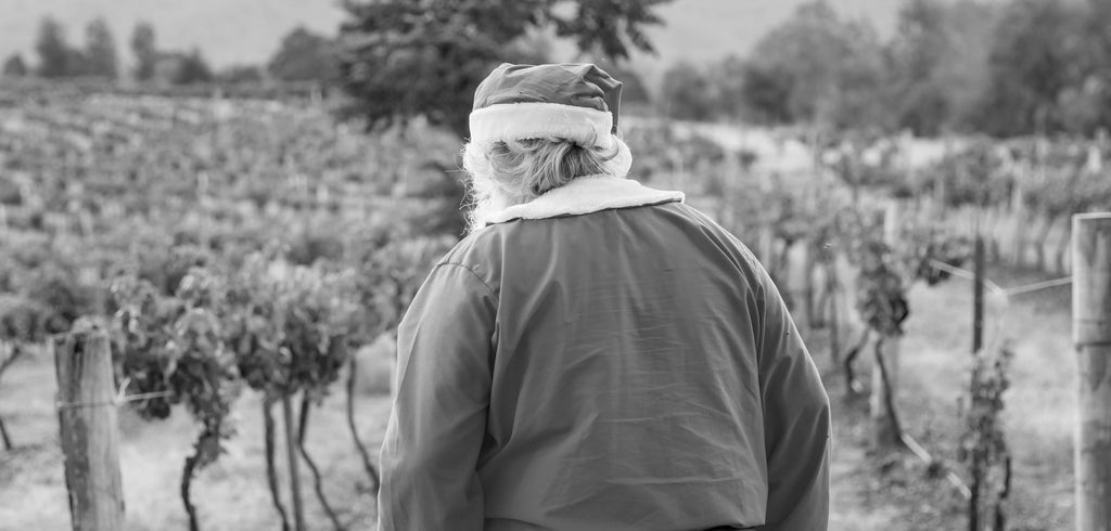 How Santa Keeps Injury Free Over Christmas.. And How You Can Too! - Leading Edge Physiotherapy